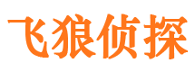 淮滨外遇调查取证